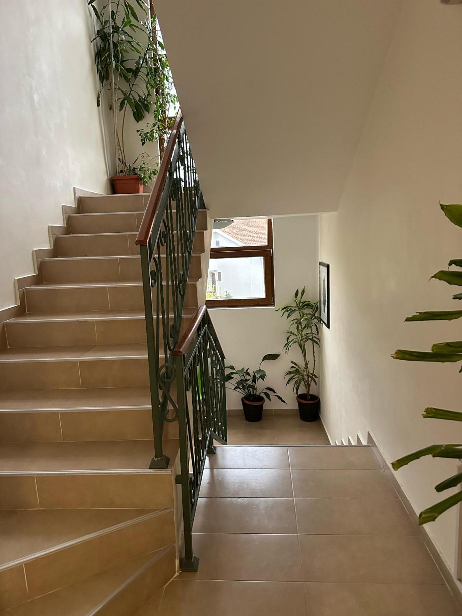 Apartments Krapina Lux Budva Extérieur photo